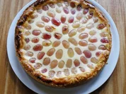 Trauben - Käsekuchen - Rezept