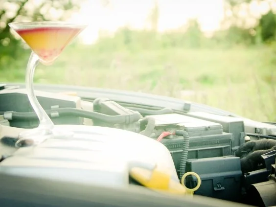 Rezept: moulin rouge Bild Nr. 5 moulin rouge - Rezept - Bild Nr. 5