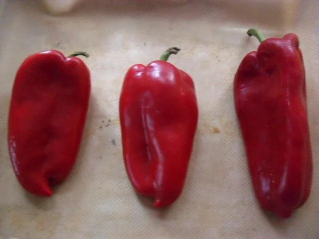 Rezept: Rahmpaprika Bild Nr. 2 Rahmpaprika - Rezept - Bild Nr. 2