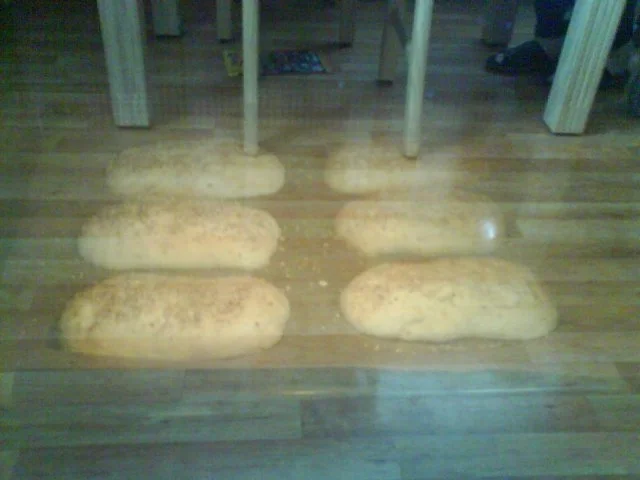 Rezept: Sesambrötchen Bild Nr. 11 Sesambrötchen - Rezept - Bild Nr. 11