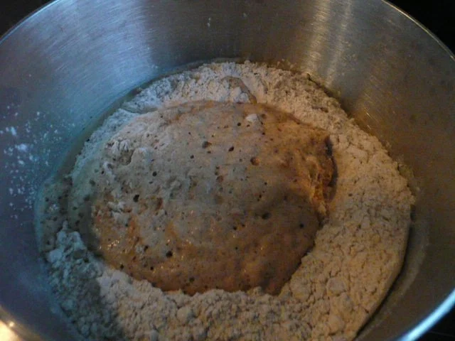 BROT / KÜRBIS - WALNUßBROT - Rezept - Bild Nr. 7