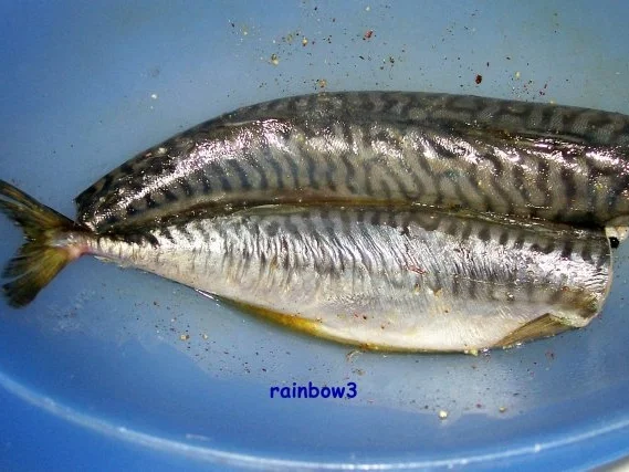 Rezept: Kochen: Marinierte Makrelen, gebraten Bild Nr. 2 Kochen: Marinierte Makrelen, gebraten - Rezept - Bild Nr. 2