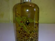 Öl: Gewürzöl - querbeat II - Rezept