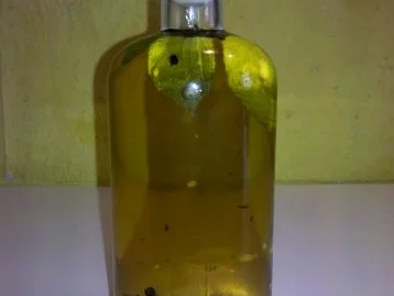 Öl: Gewürzöl - querbeat II - Rezept - Bild Nr. 3