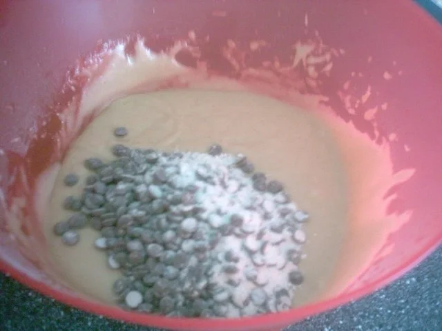 Rezept: Apfel - Schoko - Kuchen Bild Nr. 9 Apfel - Schoko - Kuchen - Rezept - Bild Nr. 9