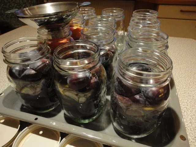 Zwetschgen Kompott - Vorratshaltung - Rezept - Bild Nr. 3