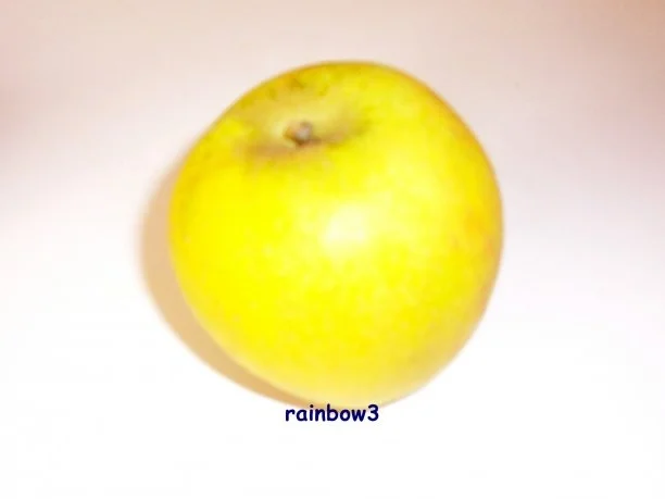 Rezept: Dessert: Apfel-Quark Bild Nr. 2 Dessert: Apfel-Quark - Rezept - Bild Nr. 2