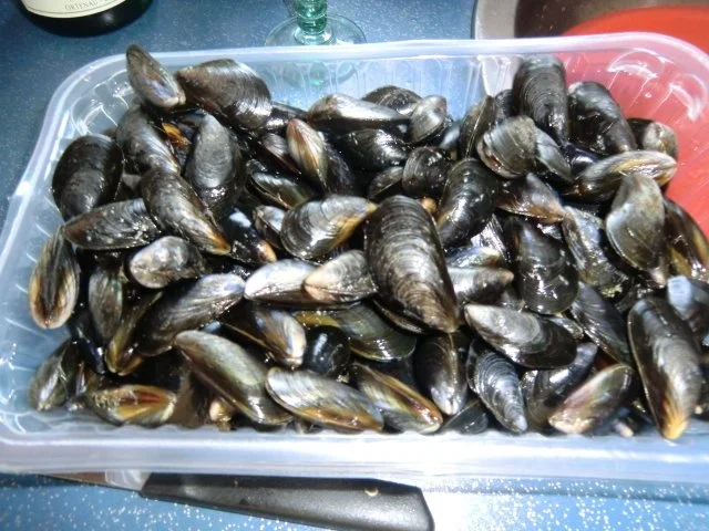 Muscheln  auf badisch --  meine Art - Rezept - Bild Nr. 2