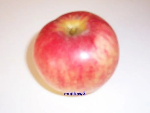 Rezept: Sonstiges: Getrocknete Apfelringe ... 2 Methoden Bild Nr. 2 Sonstiges: Getrocknete Apfelringe ... 2 Methoden - Rezept - Bild Nr. 2