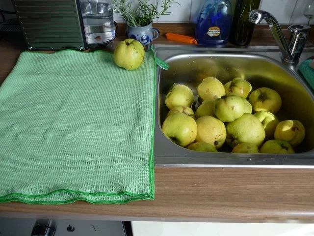 Marmelade : Quittengelee 2011 - Rezept - Bild Nr. 3