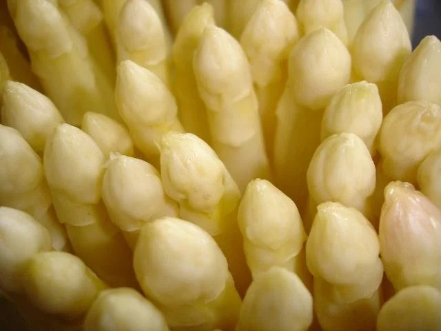 Rezept: BLÄTTERTEIGFEUILLETE MIT GRÜNEM UND WEISSEM SPARGEL, MORCHELN UND SAUTIERTEN KALBSMILKEN Bild Nr. 3 BLÄTTERTEIGFEUILLETE MIT GRÜNEM UND WEISSEM SPARGEL, MORCHELN UND SAUTIERTEN KALBSMILKEN - Rezept - Bild Nr. 3