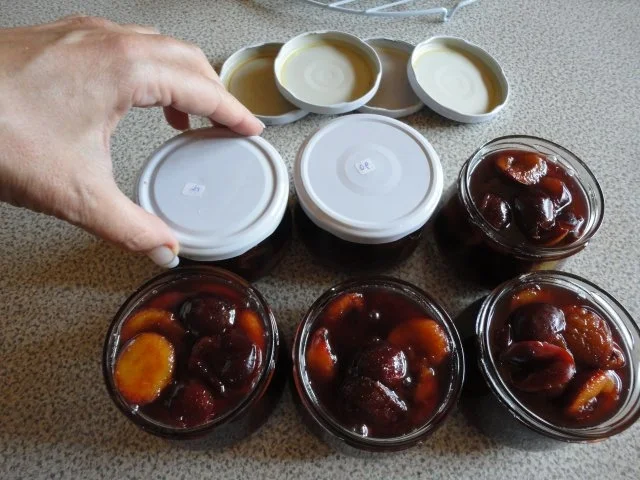 Rotwein - Balsamico - Pflaumen - Rezept