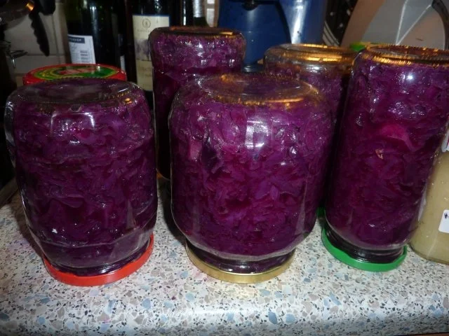 Rezept: Vorrat: Apfelrotkohl Bild Nr. 8 Vorrat: Apfelrotkohl - Rezept - Bild Nr. 8