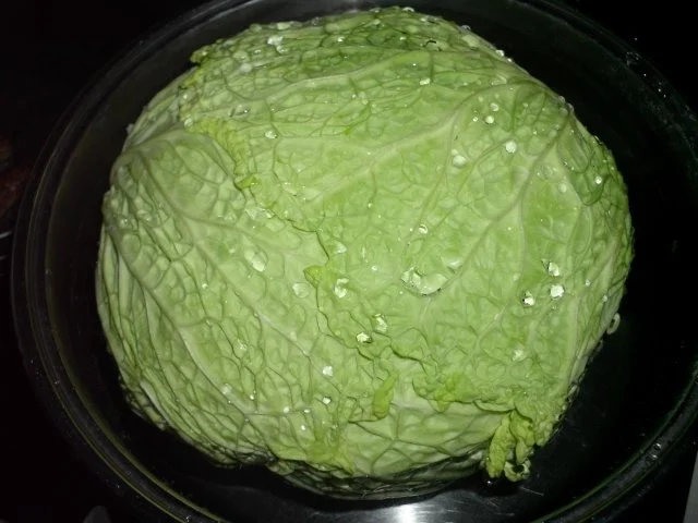 Rezept: Wirsingrouladen Bild Nr. 3 Wirsingrouladen - Rezept - Bild Nr. 3