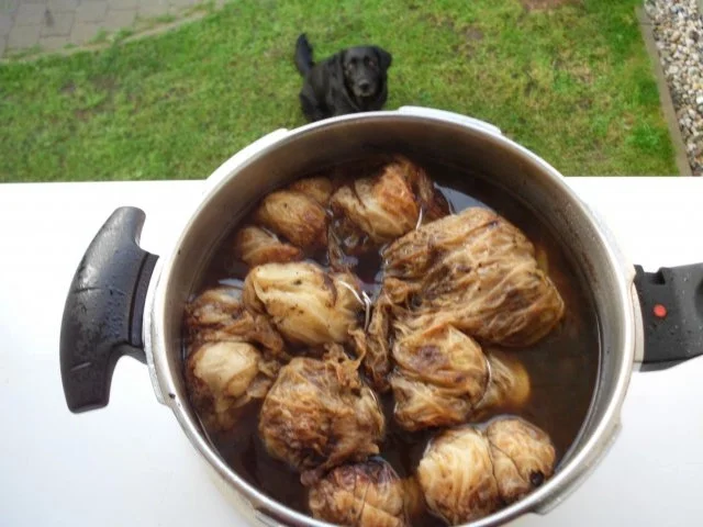 Rezept: Wirsingrouladen Bild Nr. 12 Wirsingrouladen - Rezept - Bild Nr. 12