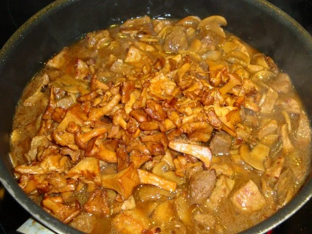 Gulasch mit Pfifferlingen & Champignons - Rezept - Bild Nr. 6