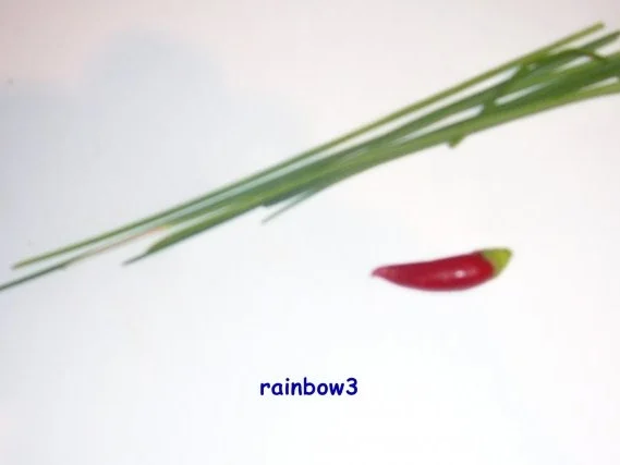 Brotaufstrich: Bunter Frischkäse - Rezept - Bild Nr. 2