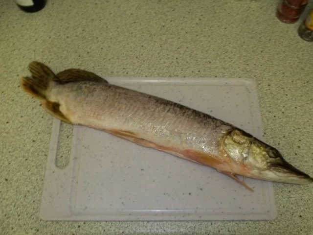 Fangfrischer Hecht in Folie gegrillt - Rezept - Bild Nr. 3