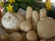 Brote, Brötchen, Stangen, Pizzateig aus Weizen- oder Dinkel- S A U E R T E I G - Rezept