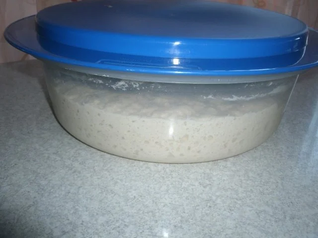 Brote, Brötchen, Stangen, Pizzateig aus Weizen- oder Dinkel- S A U E R T E I G - Rezept - Bild Nr. 6