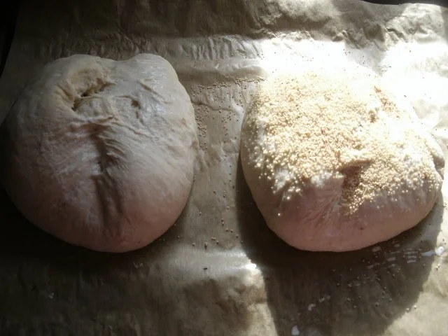 Brote, Brötchen, Stangen, Pizzateig aus Weizen- oder Dinkel- S A U E R T E I G - Rezept - Bild Nr. 12