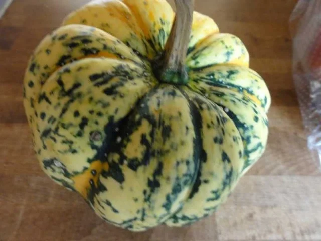 Rezept: Gorgonzolakürbis "Oriental" Bild Nr. 2 Gorgonzolakürbis "Oriental" - Rezept - Bild Nr. 2