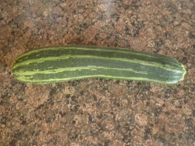 Zucchinisuppe ... - Rezept - Bild Nr. 3