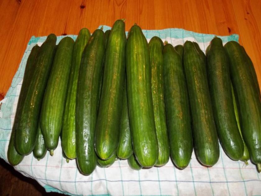 Holsteiner Senfgurken Süß &amp; sauer eingelegte Gurken - einfach - 31 kcal ...