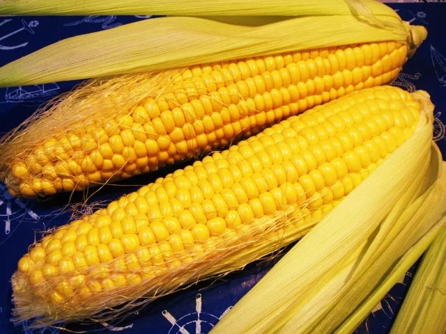 Rezept: Zuckermais ... Bild Nr. 2 Zuckermais ... - Rezept - Bild Nr. 2