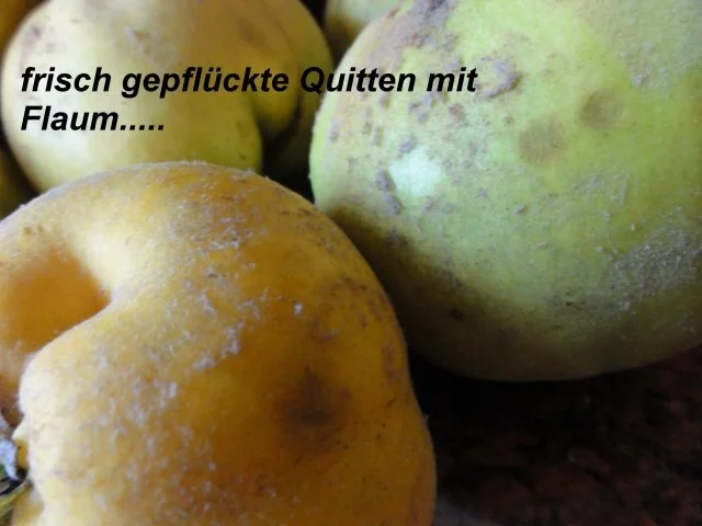 M+G:   QUITTENSAFT - Herstellung - Rezept - Bild Nr. 2
