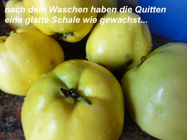 M+G:   QUITTENSAFT - Herstellung - Rezept - Bild Nr. 3