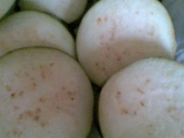 Auberginen-Kartoffel Auflauf - Rezept - Bild Nr. 2