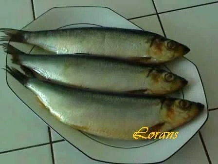 Rezept: -`❊´- Bismarckheringe in würziger Marinade -`❊´- Bild Nr. 2 -`❊´- Bismarckheringe in würziger Marinade -`❊´- - Rezept - Bild Nr. 2