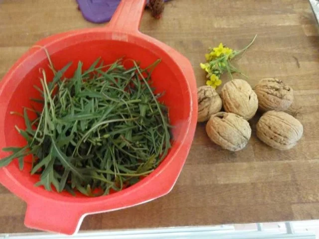 Gorgonzola-Nektarinen-Salätchen - Rezept - Bild Nr. 2