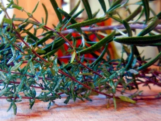 Kräuterziege - Rezept - Bild Nr. 2