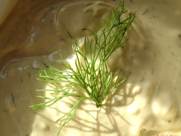 Senf-Honig- Dill-Soße - Rezept