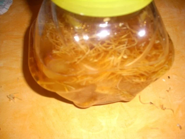 Quittenlikör - Rezept - Bild Nr. 5