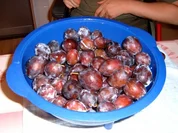 Rezept: Zwetschgencreme Zwetschgencreme - Rezept