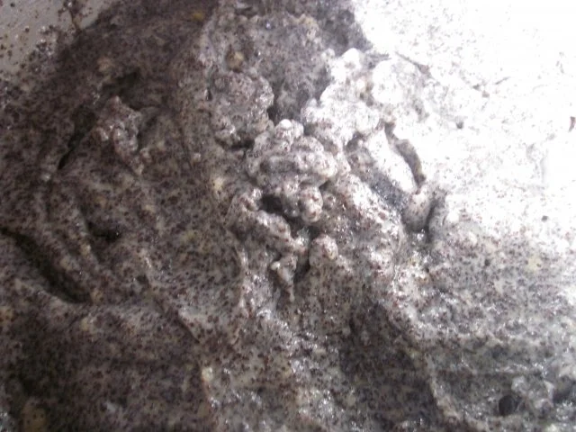 Mohn-Quark-Kuchen vom Blech - Rezept - Bild Nr. 4