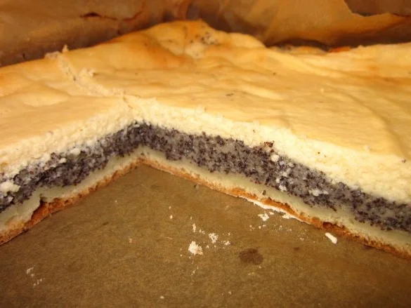 Mohn-Quark-Kuchen vom Blech - Rezept