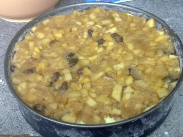 Rezept: Apfel-Pudding-Kuchen mit Streusel Bild Nr. 5 Apfel-Pudding-Kuchen mit Streusel - Rezept - Bild Nr. 5