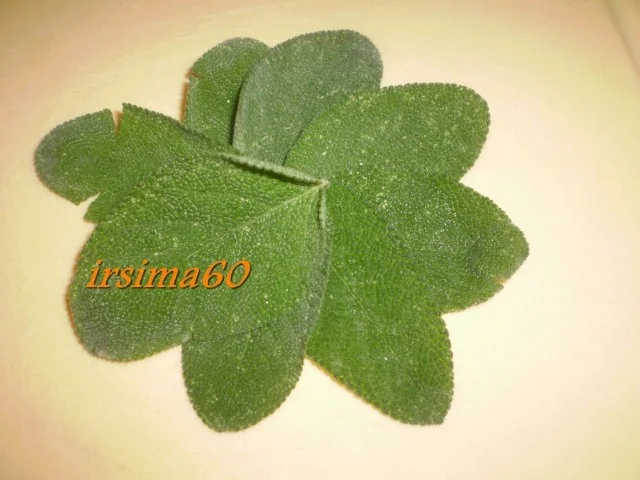 Rezept: Salbei - Butter Bild Nr. 2 Salbei - Butter - Rezept - Bild Nr. 2