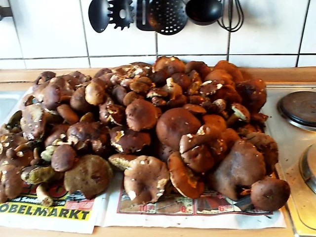 Waldpilzpfanne - Rezept - Bild Nr. 2