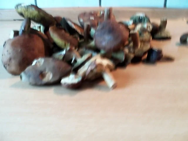 Waldpilzpfanne - Rezept - Bild Nr. 3