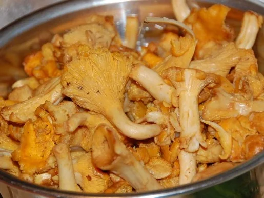 GEGRILLTE ENTRECÔTES  AUF EIERSCHWÄMMCHEN IN COGNAC-RAHM - Rezept - Bild Nr. 3