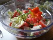 Gemischter Salat mit Zitronenpfeffer - Rezept