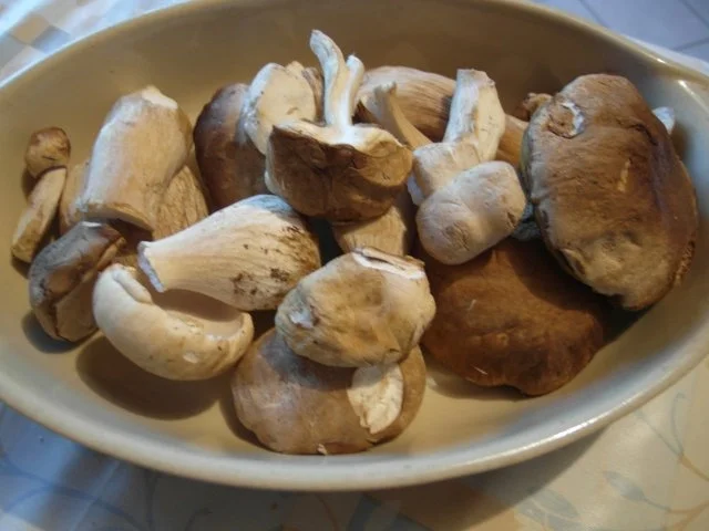 Entenbrust mit Steinpilzen - Rezept - Bild Nr. 2