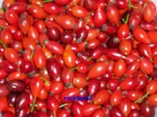 Einmachen: Hagebuttenmarmelade - Rezept