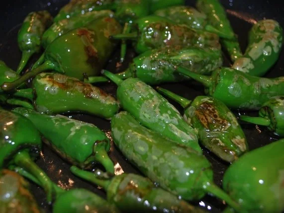 Pimientos de Padron - Rezept
