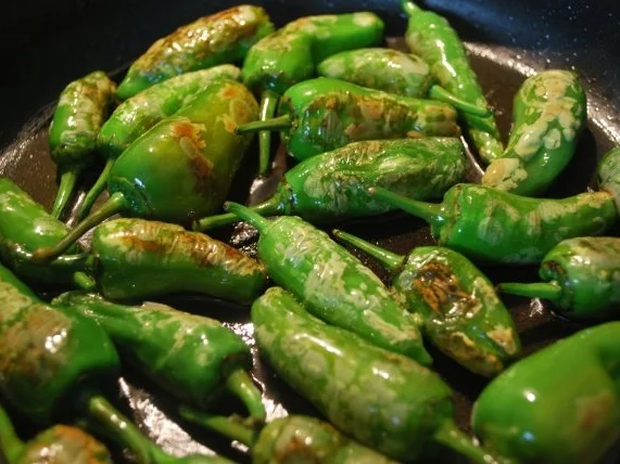 Pimientos de Padron - Rezept - Bild Nr. 4